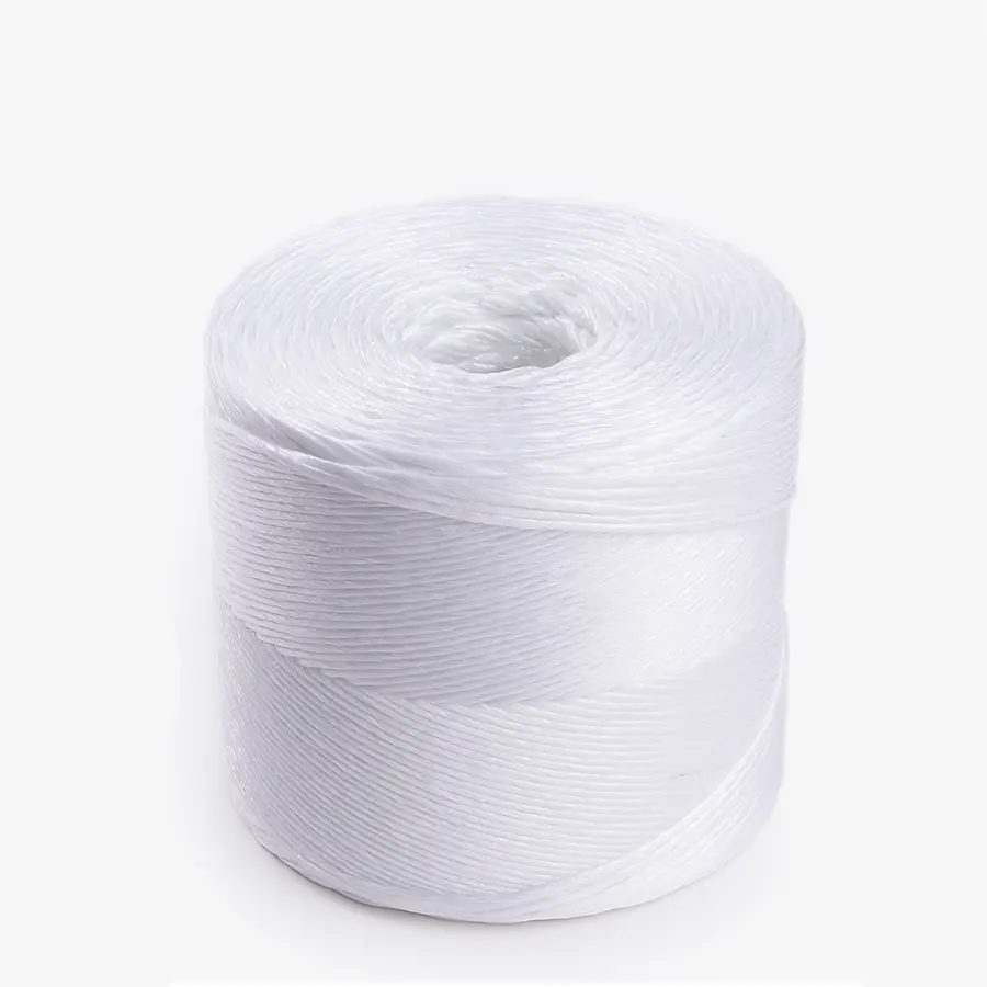 Angebote 340017 PP Kordel weiss